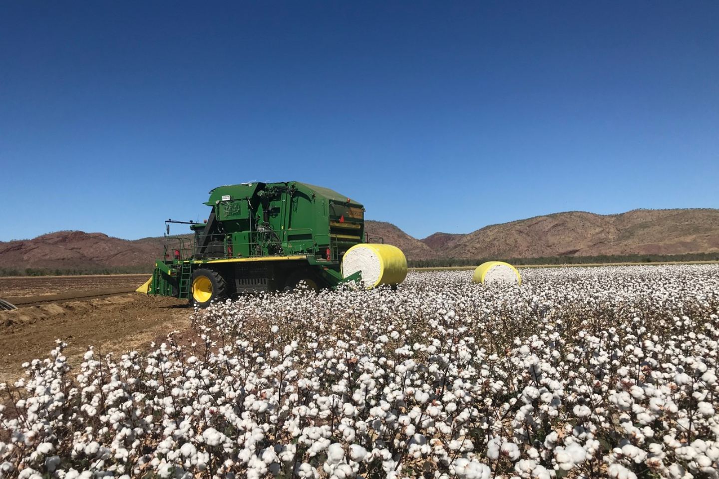 Olam Agri ups Namoi Cotton bid